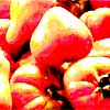 Frutas, verduras y cítricos