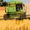 Uruguay agropecuario